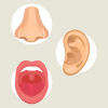 ENT (Ear, Nose, Throat)